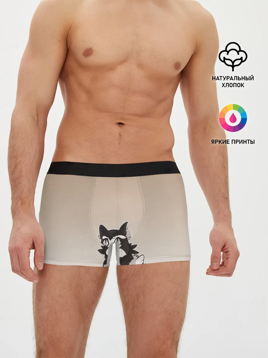 Мужские трусы боксеры / сова котик аниме