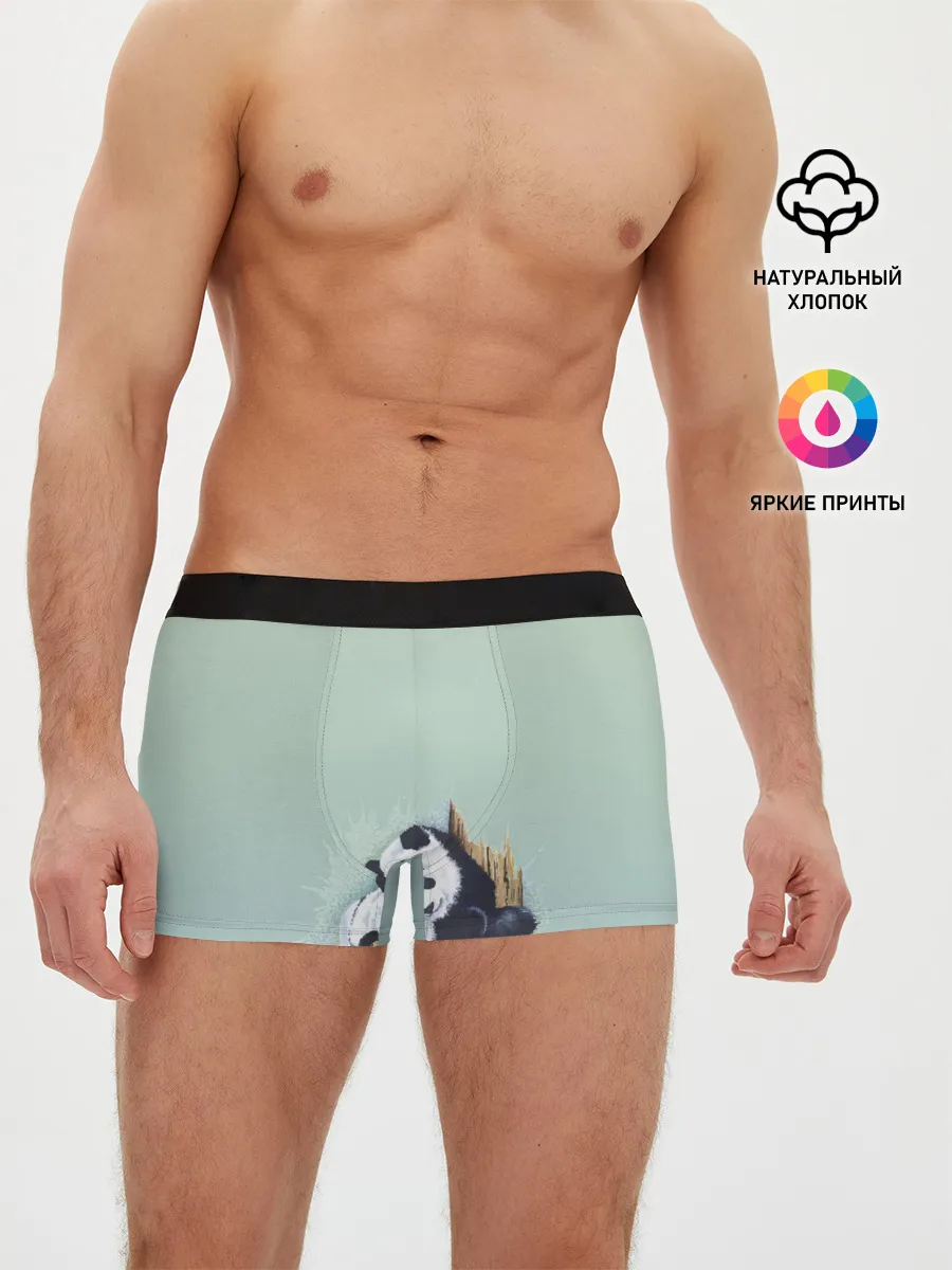 Мужские трусы боксеры / акварельные панды