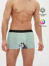 Мужские трусы боксеры / акварельные панды