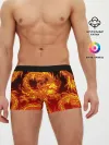 Мужские трусы боксеры / ДРАКОН