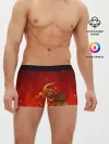 Мужские трусы боксеры / DRAGON LORE
