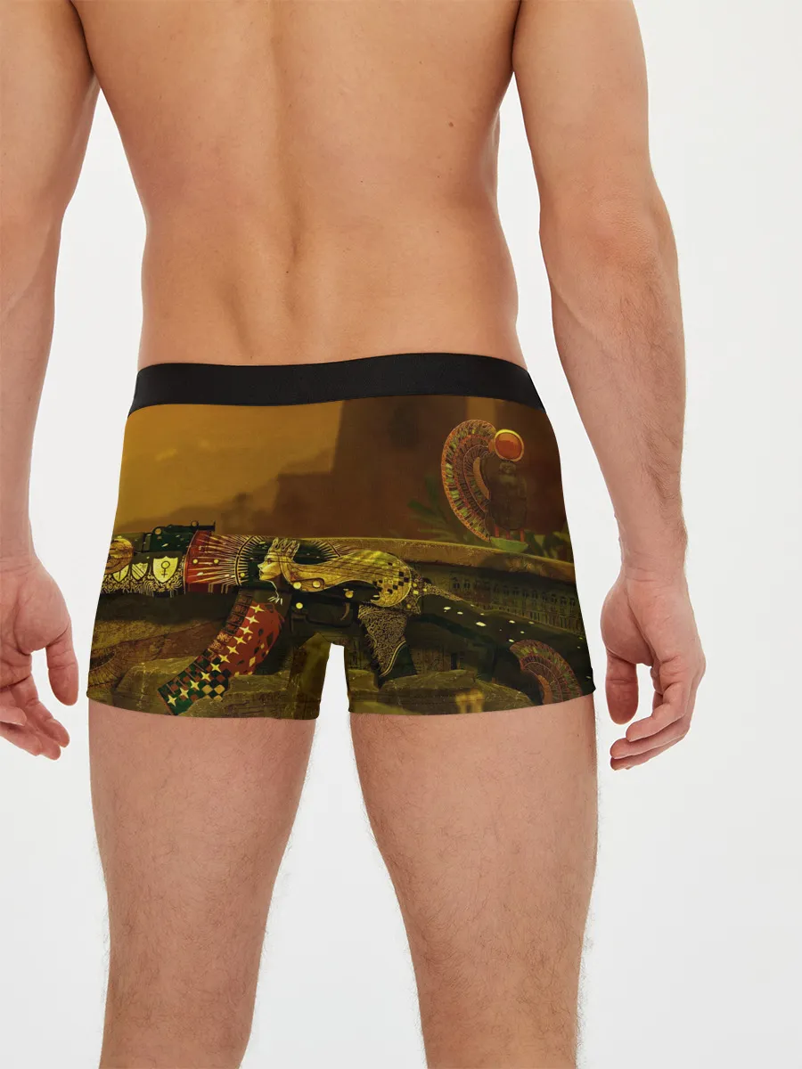 Мужские трусы боксеры / The Empress CSGO