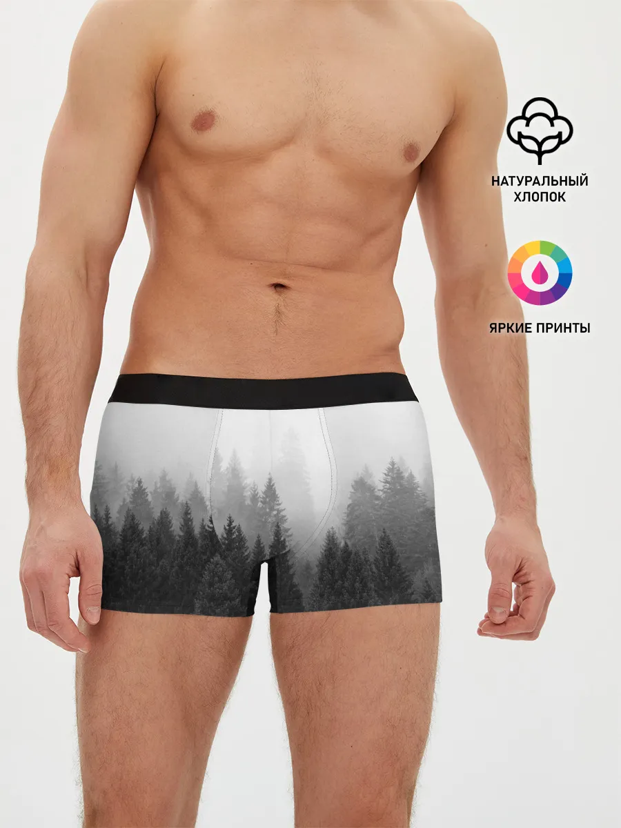 Мужские трусы боксеры / Туманный лес