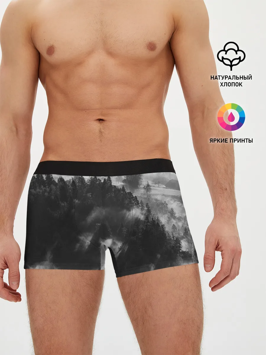 Мужские трусы боксеры / Туман в лесу