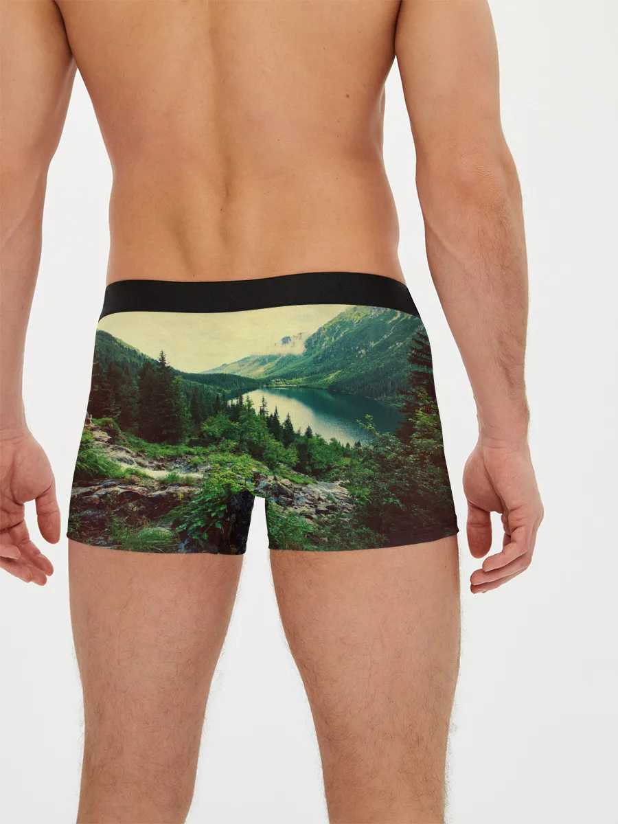 Мужские трусы боксеры / Красивый лес