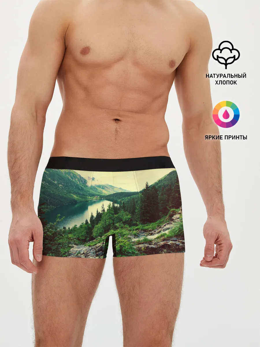 Мужские трусы боксеры / Красивый лес