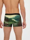Мужские трусы боксеры / Красивый лес