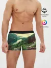 Мужские трусы боксеры / Красивый лес