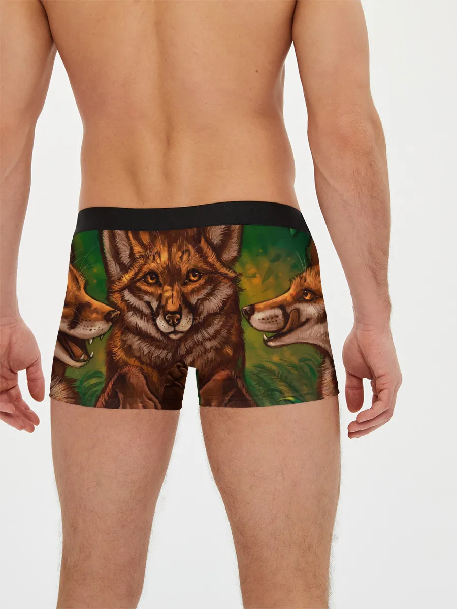 Мужские трусы боксеры / Лисы