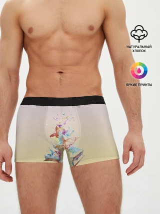 Мужские трусы боксеры / бабочки из книги