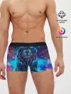 Мужские трусы боксеры / Galaxy Lion