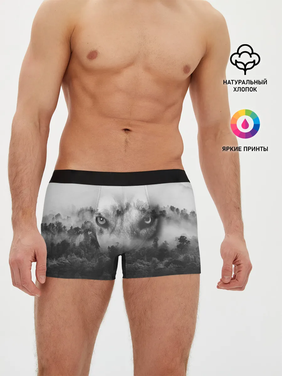 Мужские трусы боксеры / Волк в лесу