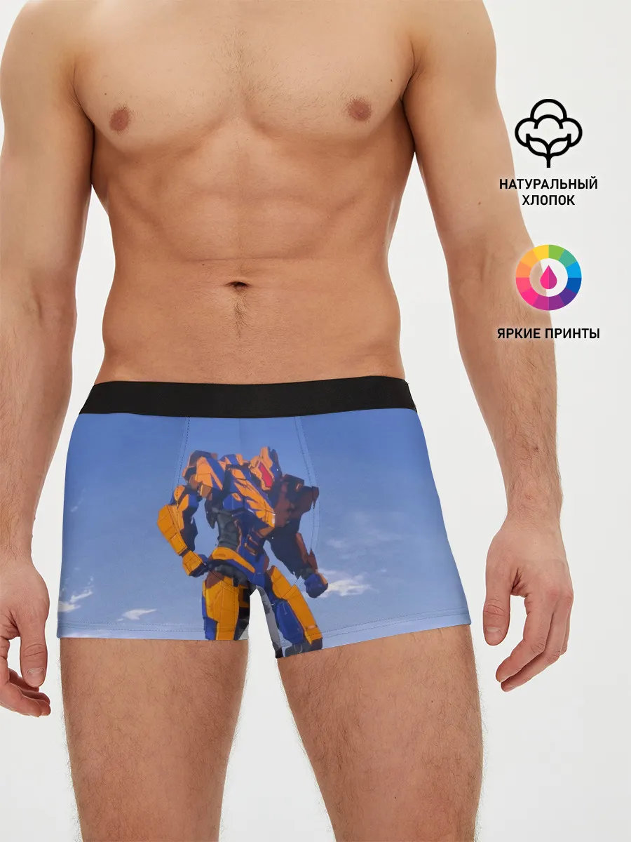 Мужские трусы боксеры / Тихоокеанский рубеж