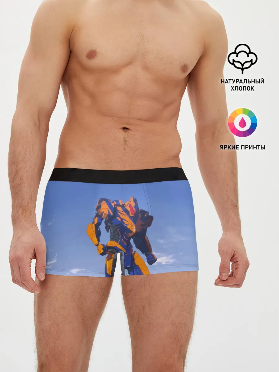 Мужские трусы боксеры / Тихоокеанский рубеж