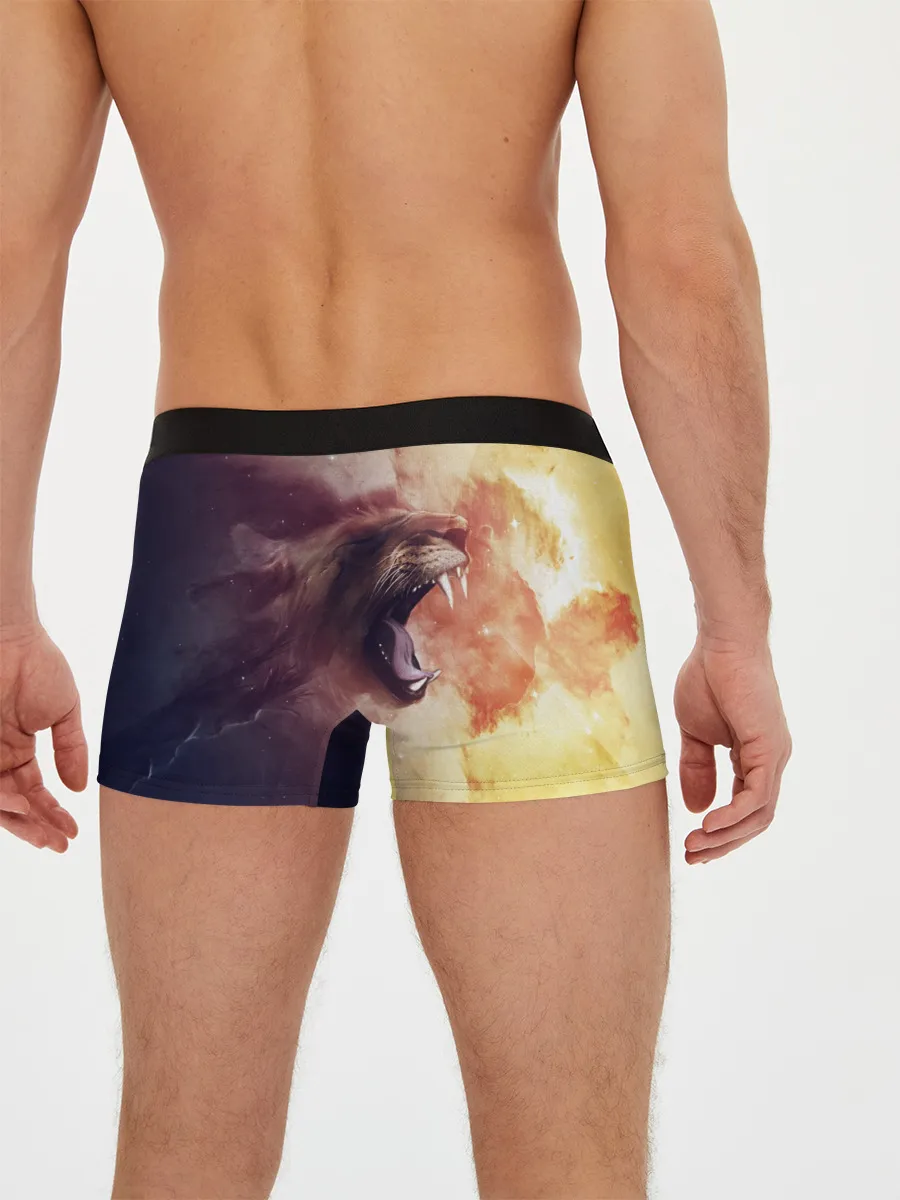 Мужские трусы боксеры / TIGER ROAR