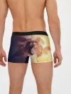 Мужские трусы боксеры / TIGER ROAR
