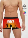 Мужские трусы боксеры / DAYZ