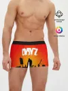 Мужские трусы боксеры / DAYZ