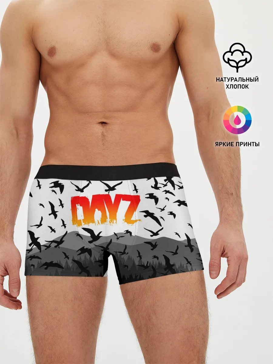 Мужские трусы боксеры / DAYZ