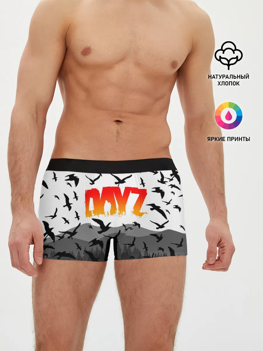 Мужские трусы боксеры / DAYZ