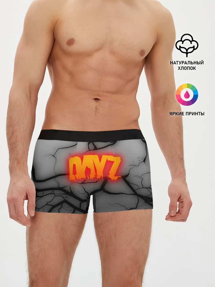 Мужские трусы боксеры / DAYZ