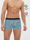 Мужские трусы боксеры / Весна