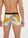 Мужские трусы боксеры / Цветы