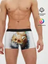 Мужские трусы боксеры / Лиса