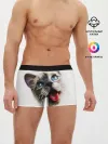 Мужские трусы боксеры / Котик
