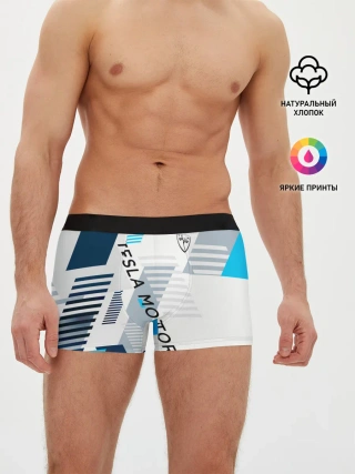Мужские трусы боксеры / Tesla