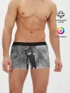 Мужские трусы боксеры / Cartoon cat