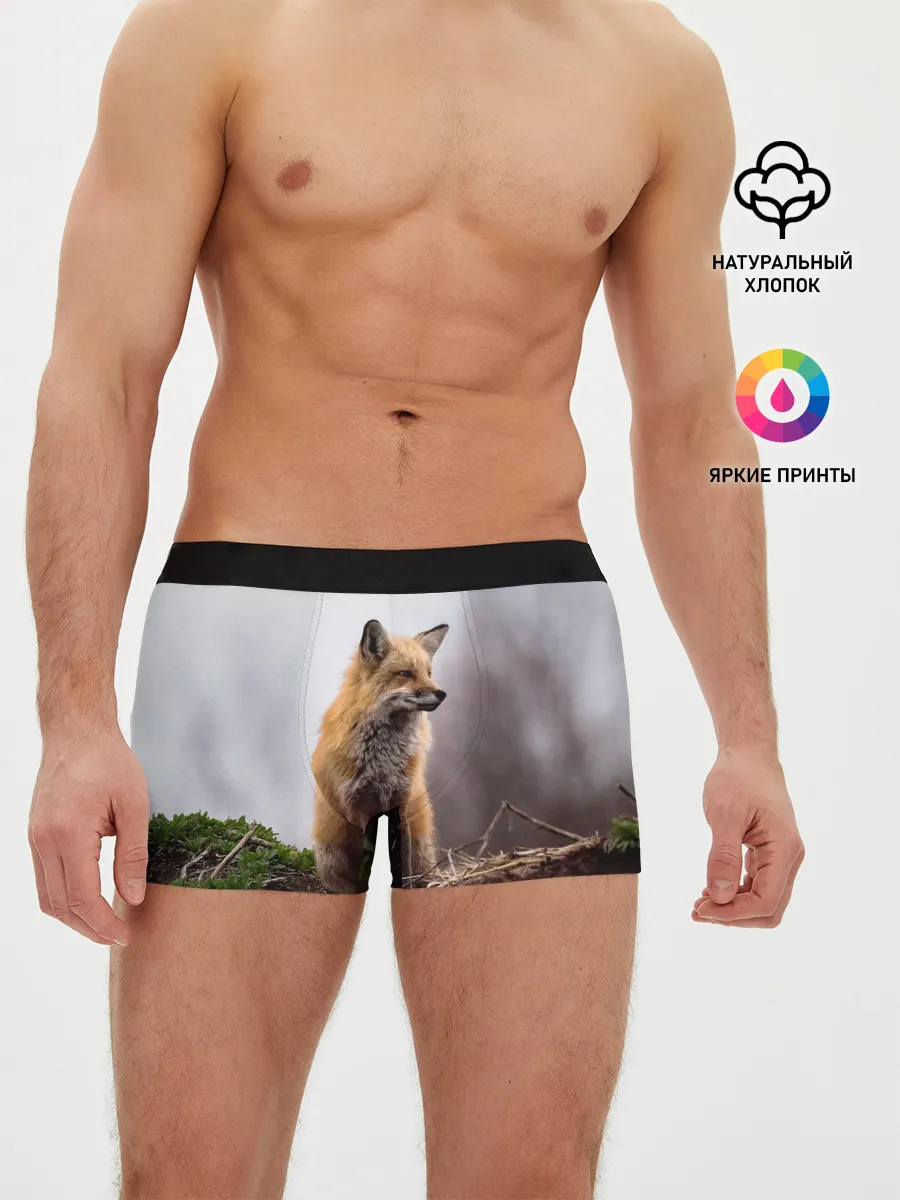 Мужские трусы боксеры / Лиса