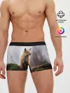 Мужские трусы боксеры / Лиса