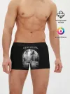 Мужские трусы боксеры / Dream Theater