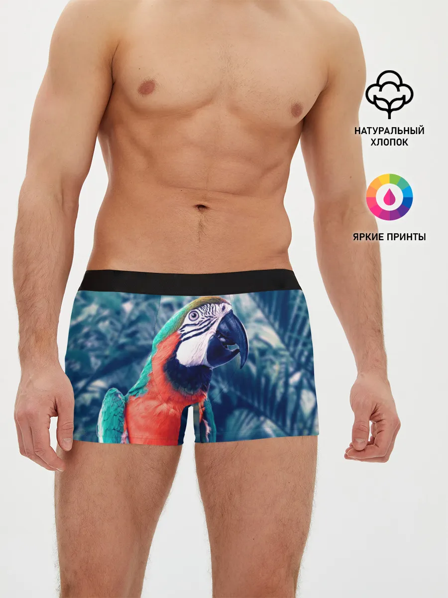 Мужские трусы боксеры / Попугай