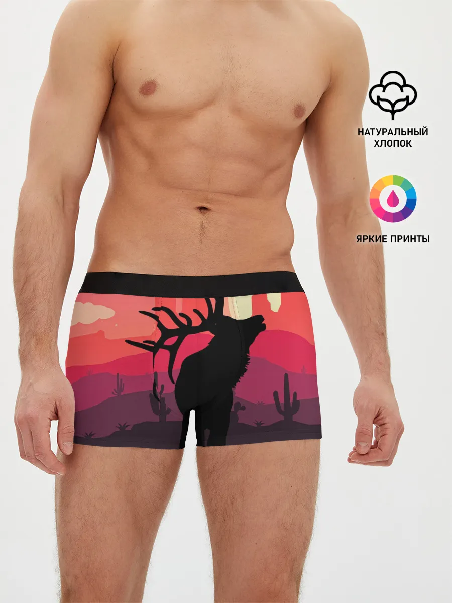 Мужские трусы боксеры / RDR II