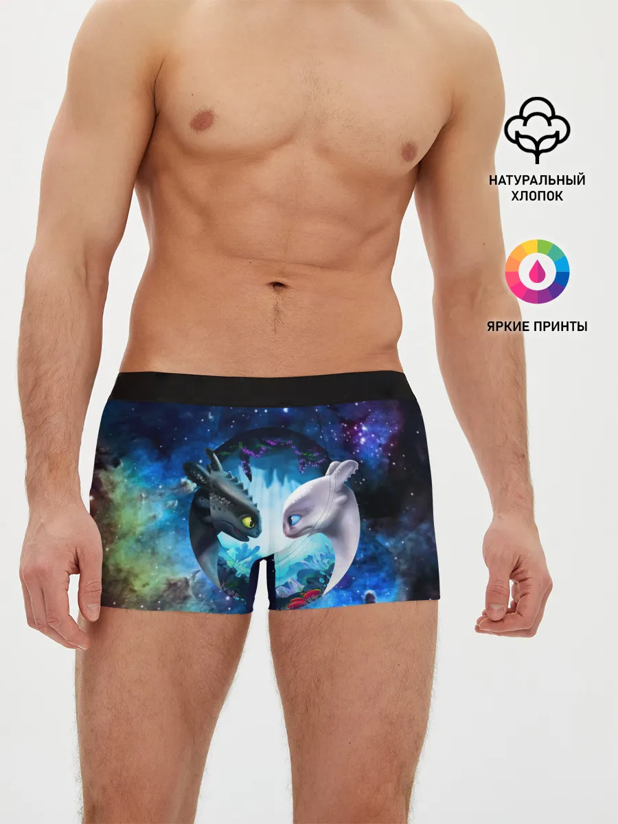 Мужские трусы боксеры / ночная фурия