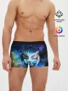 Мужские трусы боксеры / ночная фурия
