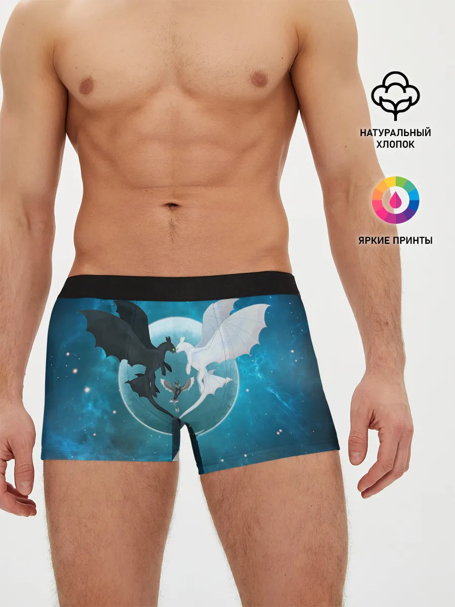 Мужские трусы боксеры / ночная фурия