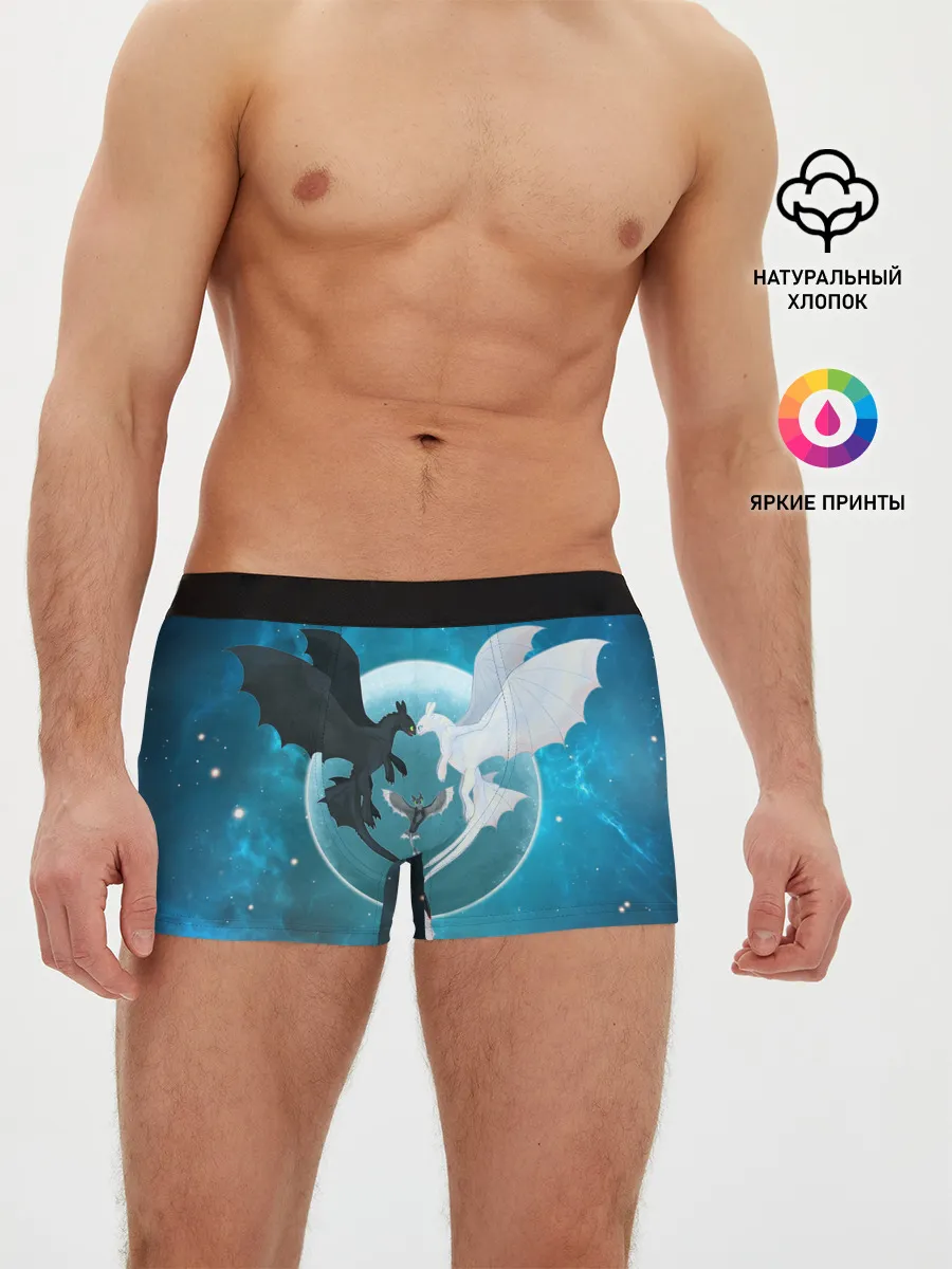 Мужские трусы боксеры / ночная фурия