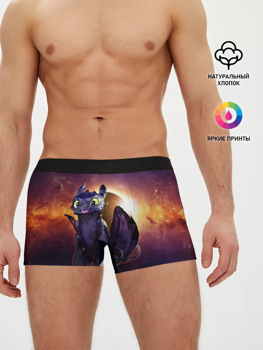 Мужские трусы боксеры / ночная фурия