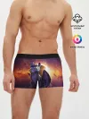 Мужские трусы боксеры / ночная фурия