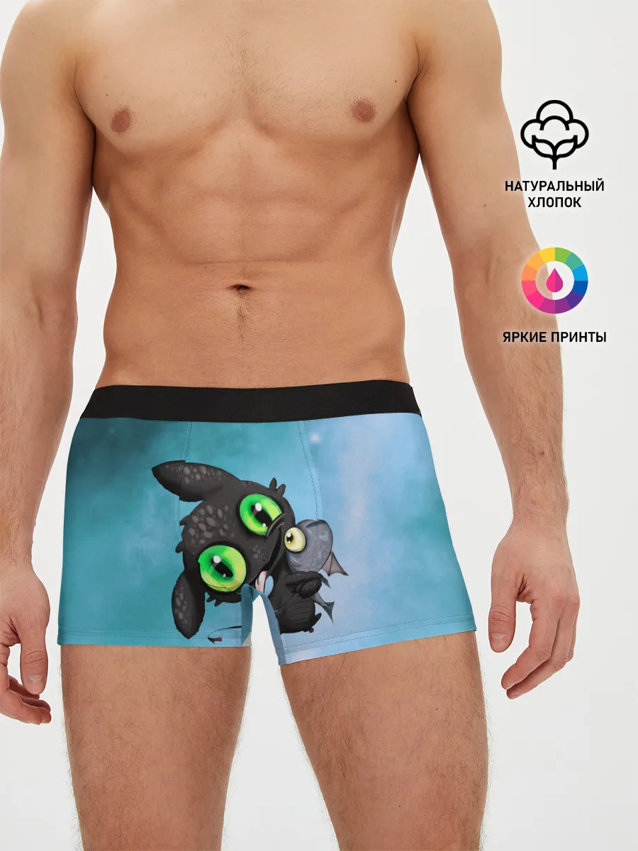 Мужские трусы боксеры / дневная фурия