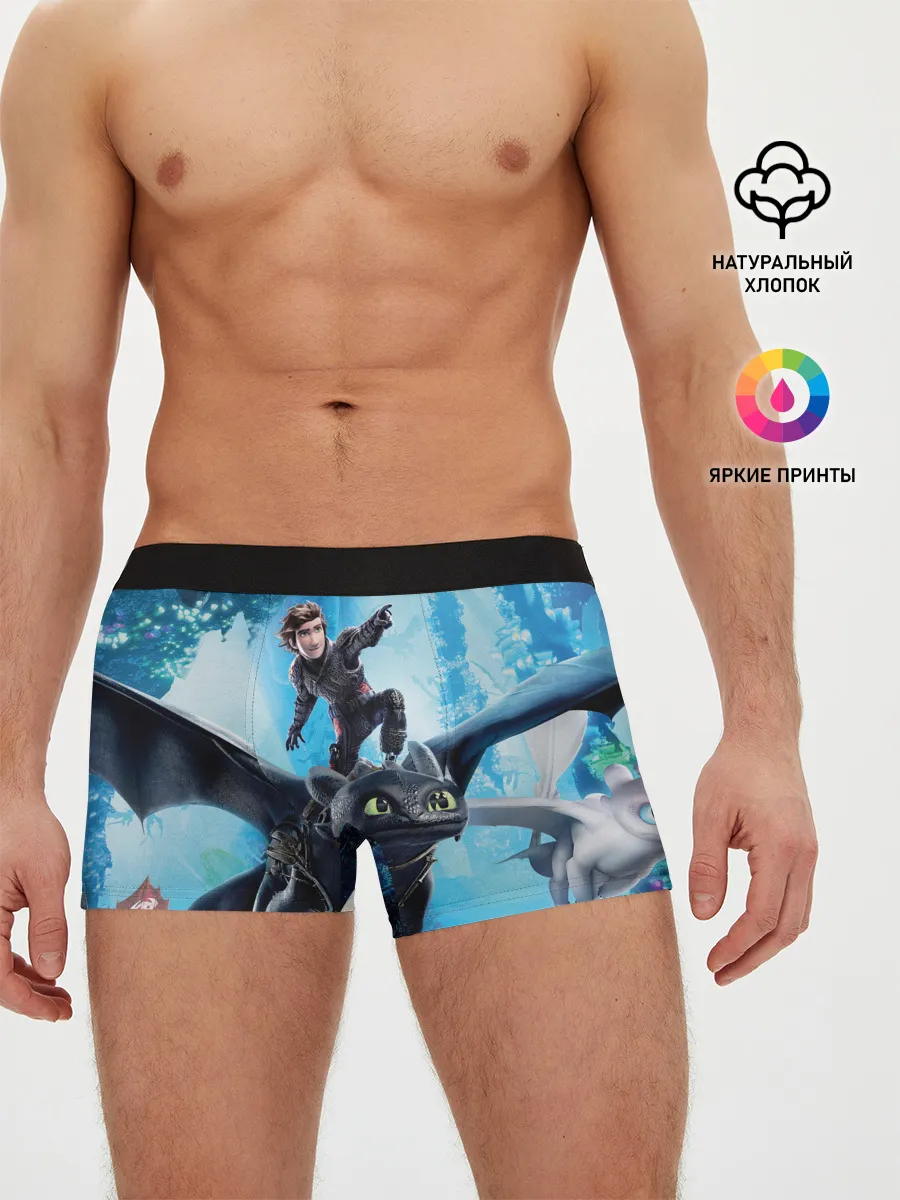 Мужские трусы боксеры / Как приручить дракона 3