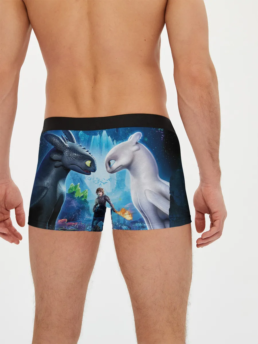 Мужские трусы боксеры / Как приручить дракона 3