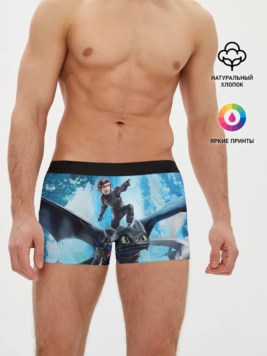 Мужские трусы боксеры / Как приручить дракона 3