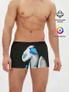 Мужские трусы боксеры / Как приручить дракона