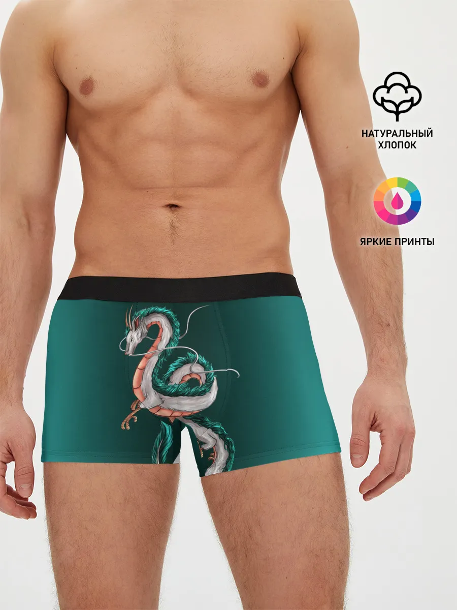Мужские трусы боксеры / Дракон Хаку зеленый градиент