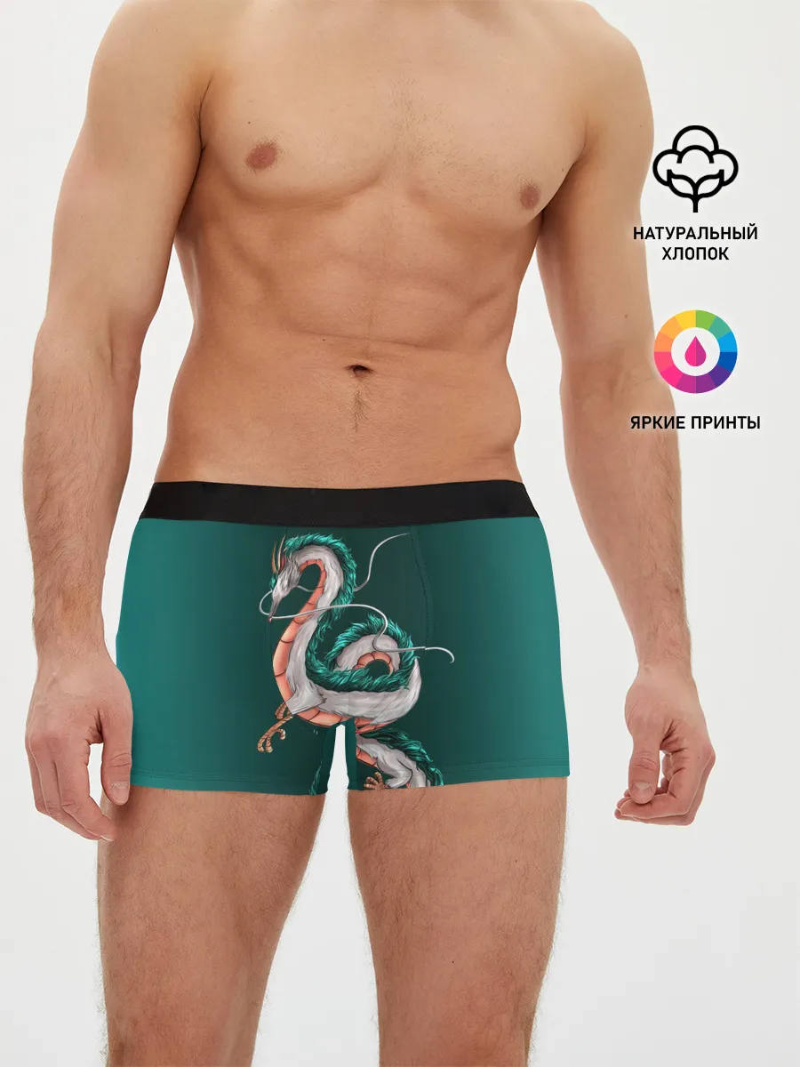 Мужские трусы боксеры / Дракон Хаку зеленый градиент