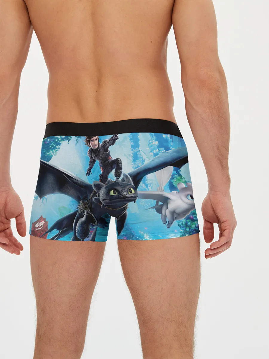 Мужские трусы боксеры / Как приручить дракона 3